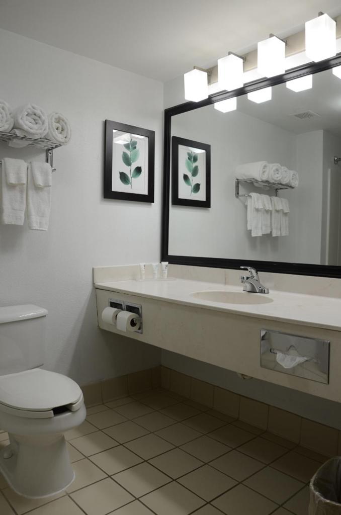 Country Inn & Suites By Radisson, Jacksonville, Fl Экстерьер фото