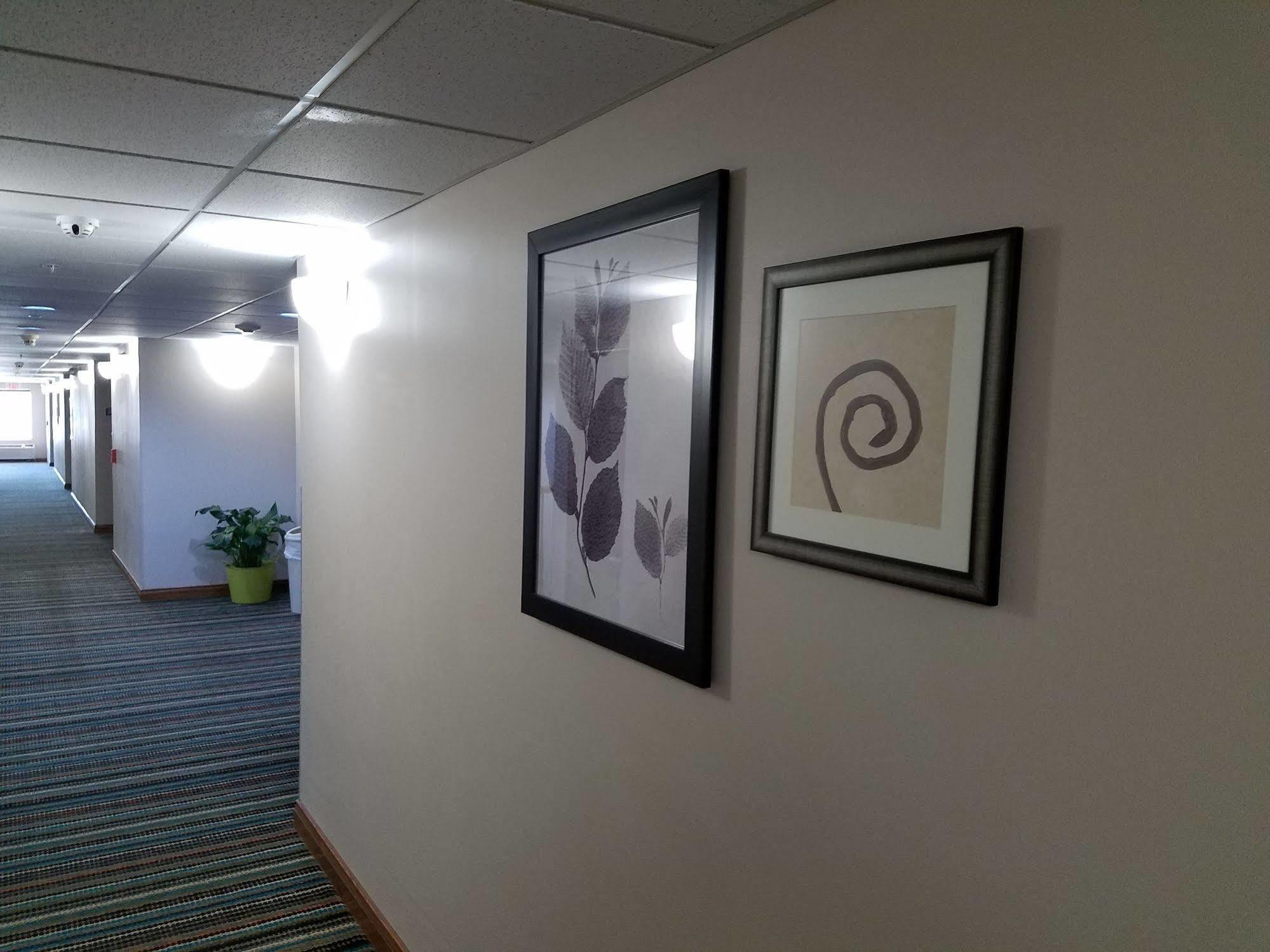 Country Inn & Suites By Radisson, Jacksonville, Fl Экстерьер фото